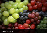 La uva protege de la radiación ultravioleta