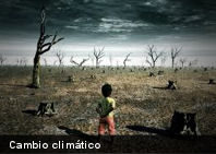 Animales y plantas responden cada vez más rápido al cambio climático