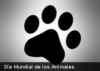 Día Mundial de los Animales: Venezuela marcha en contra de la matanza de perros en Margarita