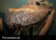 Descubren en Perú restos de cocodrilo de 20 millones de años de antigüedad