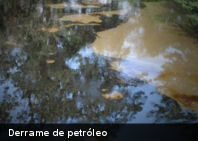 Venezuela: Estado Monagas en emergencia por derrame de petróleo (+Fotos)