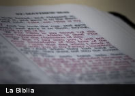Primera Biblia ecológica en español busca crear conciencia ambiental