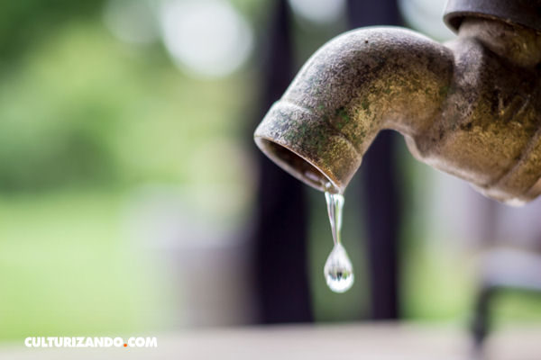 A propósito del Día Mundial del Agua: 10 consejos para ahorrar cada gota