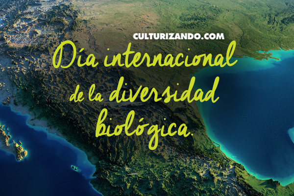 ¿Por qué se celebra el Día Internacional de la Diversidad Biológica?