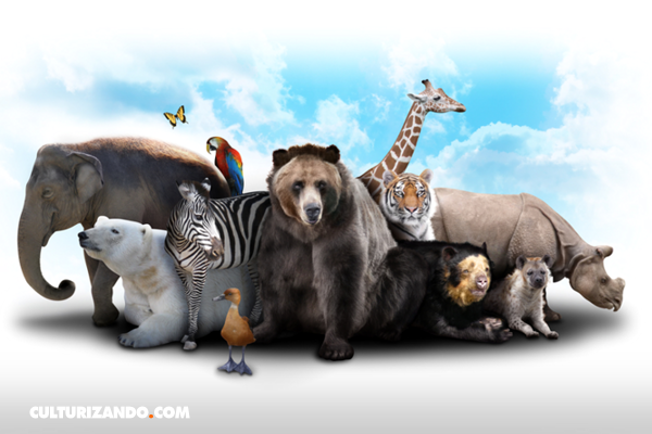 ¡Hoy es el Día Mundial de los Animales!