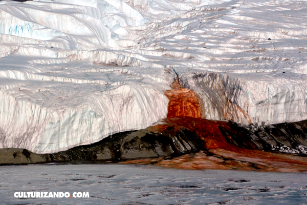 El gran misterio de las cataratas de sangre en la Antártida
