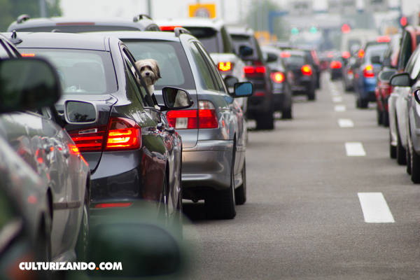 Diésel, gasolina o eléctricos: todos los vehículos contaminan