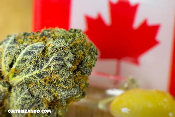 Canadá legalizó el consumo recreacional de la marihuana