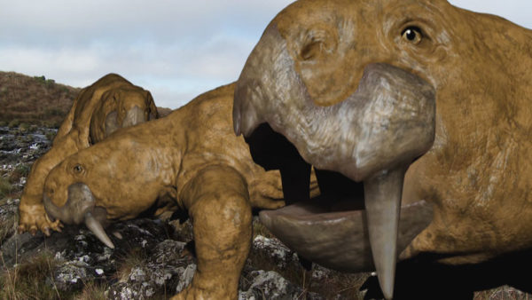 Descubierto un gigantesco antepasado de los mamíferos