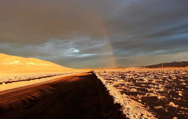 Lluvias sin precedentes arrasan la vida microbiana en el desierto de Atacama