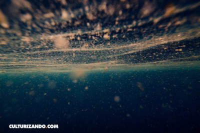 El color característico de nuestros océanos empezará a cambiar, ¿sabes por qué?