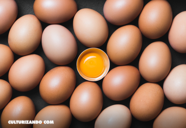 Primer método para diferenciar los cuatro tipos de huevos