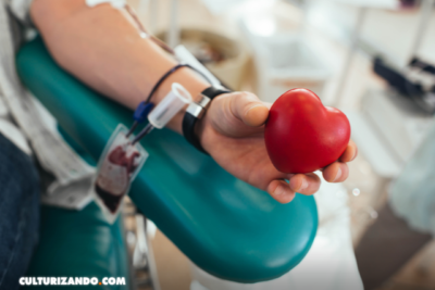 Recibir un riñón de un donante de más de 80 años es mejor que continuar en diálisis