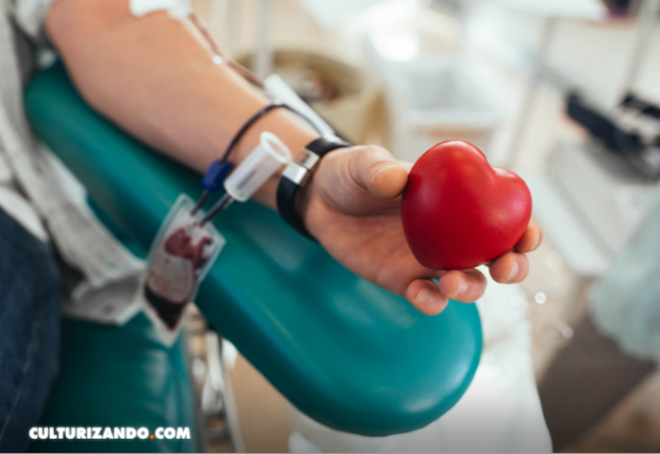 Recibir un riñón de un donante de más de 80 años es mejor que continuar en diálisis