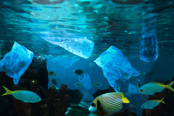 El plástico envenena y mata a la fauna de los océanos
