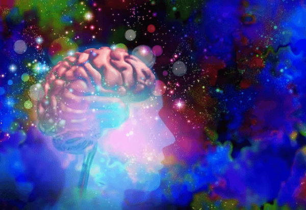 El alucinante potencial de las sustancias psicodélicas para recablear el cerebro
