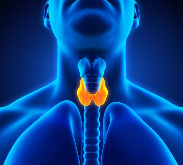 Cáncer de tiroides: ¿se ha disparado su incidencia o le hacemos demasiado caso?