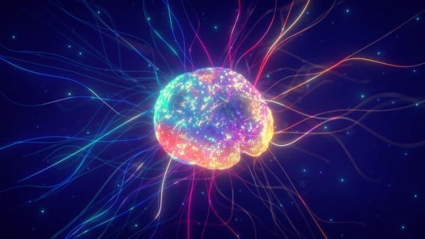 Neuroplasticidad: el extraordinario poder de nuestro cerebro para transformarse y repararse