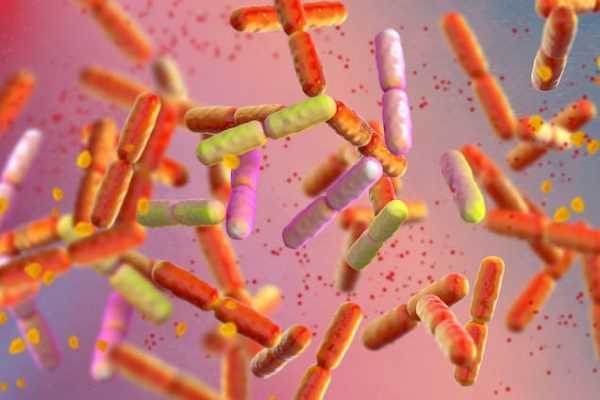 ¿Viven bacterias también en nuestra orina? El yin y el yang del tracto urinario