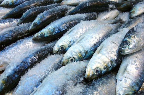Omega-3: cúanto hay que tomar y qué alimentos son los mejores para obtenerlo