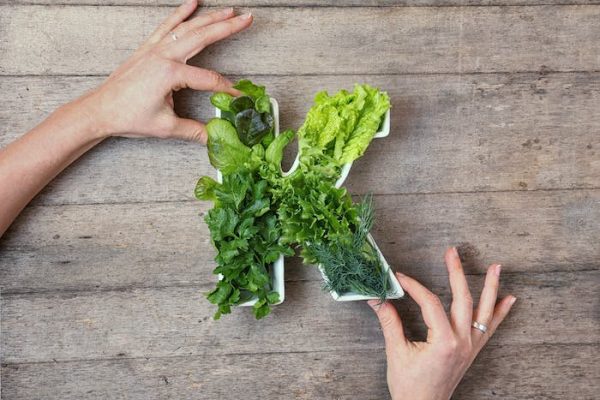 Vitamina K: de la coagulación al envejecimiento saludable