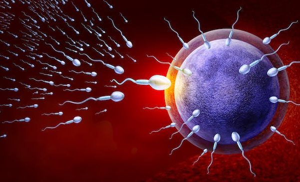 El inflamasoma, un factor clave y poco conocido de la infertilidad humana