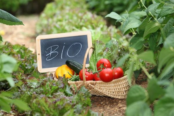 ¿Los productos ecológicos son saludables?