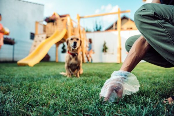 Los parques infantiles están repletos de parásitos: ¿qué podemos hacer?