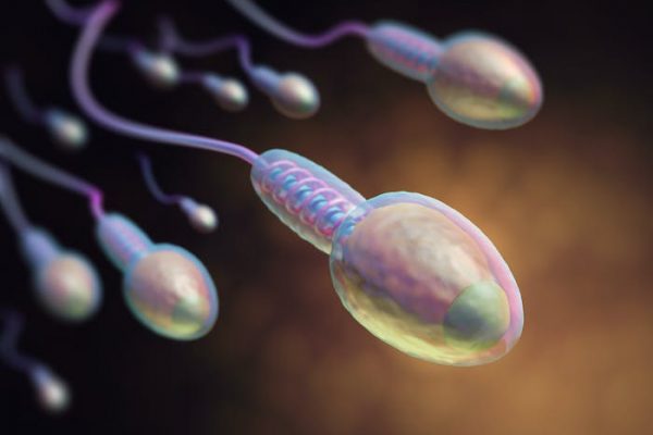 Donación de esperma: ¿es necesario poner límites?