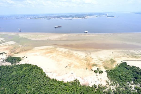 Degradación en la Amazonia: una bomba de relojería para la aparición de enfermedades con potencial pandémico