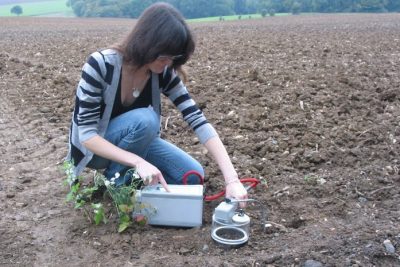 La agricultura del carbono podría ser un negocio viable en el Mediterráneo