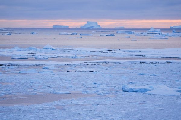 La plastisfera antártica, un nuevo ecosistema único y potencialmente peligroso