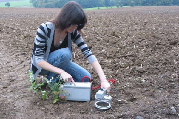 La agricultura del carbono podría ser un negocio viable en el Mediterráneo