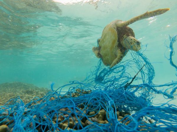 Las redes marinas abandonadas en los océanos, otra fuente de contaminación por plásticos