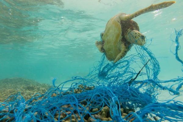 Las redes marinas abandonadas en los océanos, otra fuente de contaminación por plásticos