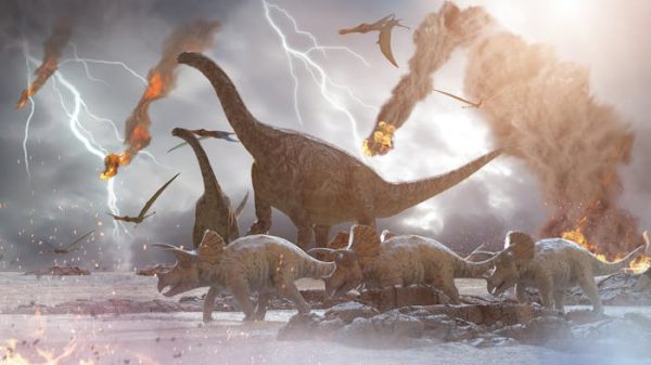 Polémica científica: ¿y si las cinco grandes extinciones masivas no fueron tales?