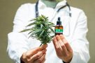 Los efectos del cannabis medicinal en los pacientes con diabetes: ¿qué se sabe y qué no?