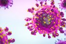 ¿Qué son los hantavirus y qué peligro representan?