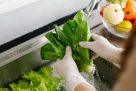 Hantavirus: el papel de los alimentos y la hidratación