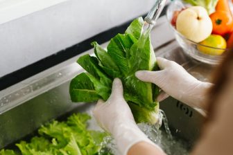 Hantavirus: el papel de los alimentos y la hidratación