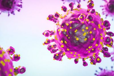 ¿Qué son los hantavirus y qué peligro representan?