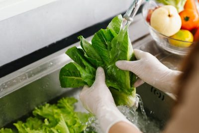 Hantavirus: el papel de los alimentos y la hidratación