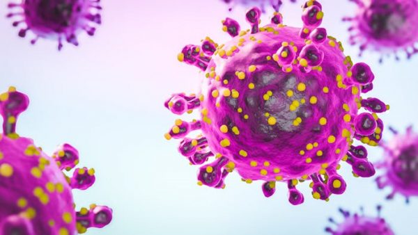 ¿Qué son los hantavirus y qué peligro representan?