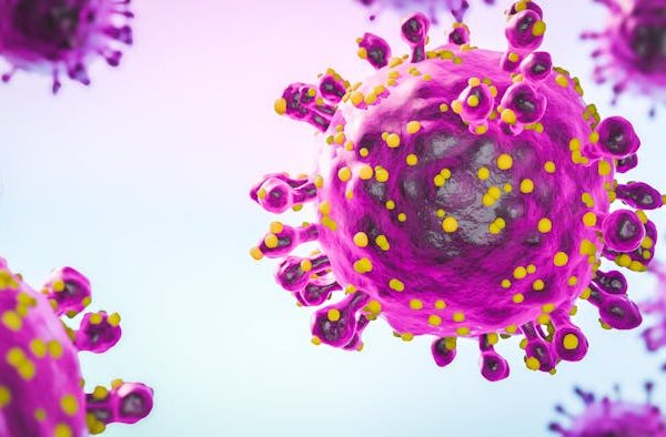 ¿Qué son los hantavirus y qué peligro representan?